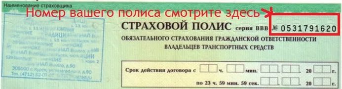 График работа страховой полис. Номер страхового полиса. Номер страхового полиса ОСАГО.