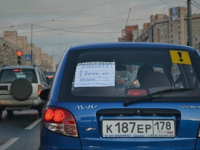 Поможет ли знак «начинающий водитель» на дорогах? 5